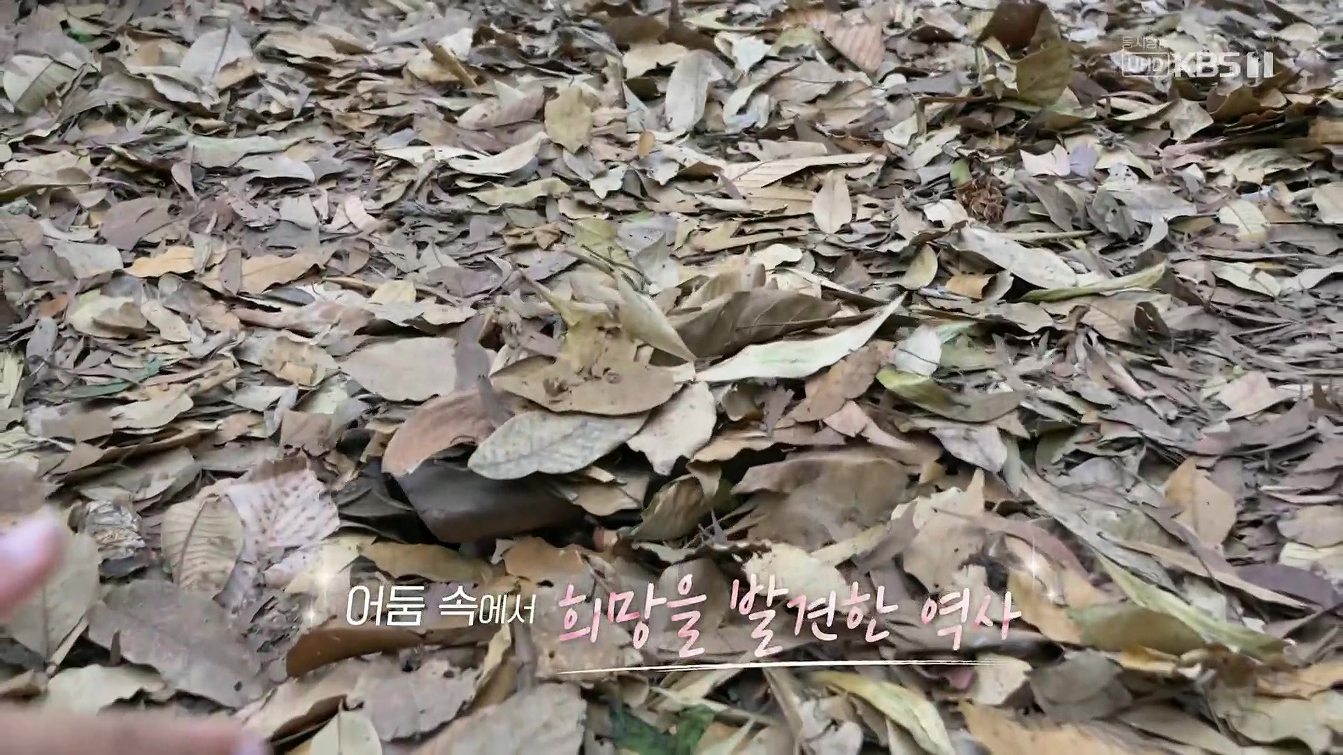 걸어서 세계속으로.E826.240120p.H264-F1RST.mp4_20240716_200238.252.jpg