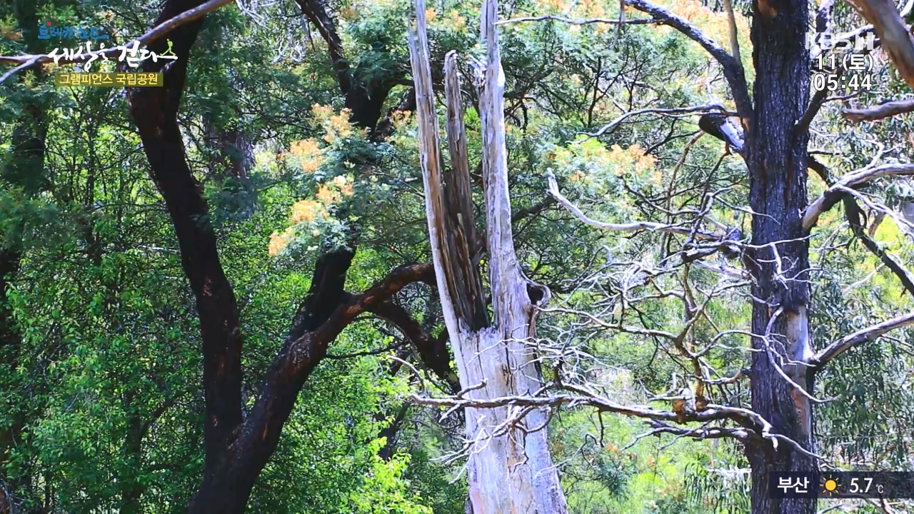 트레킹노트 세상을 걷다.E296.231112p-NEXT.mp4_20231111_182056.519.jpg