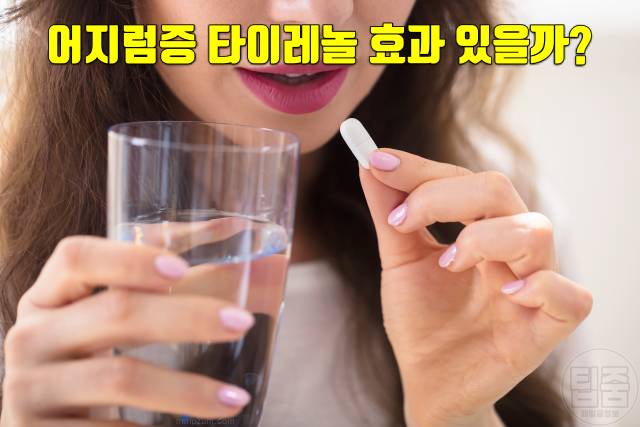 어지럼증 원인 귓병 어지러움 원인 타이레놀 효과 있나요