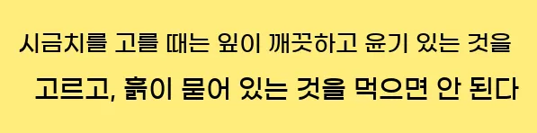  시금치를 고를 때는 잎이 깨끗하고 윤기 있는 것을 고르고, 흙이 묻어 있는 것을 먹으면 안 된다