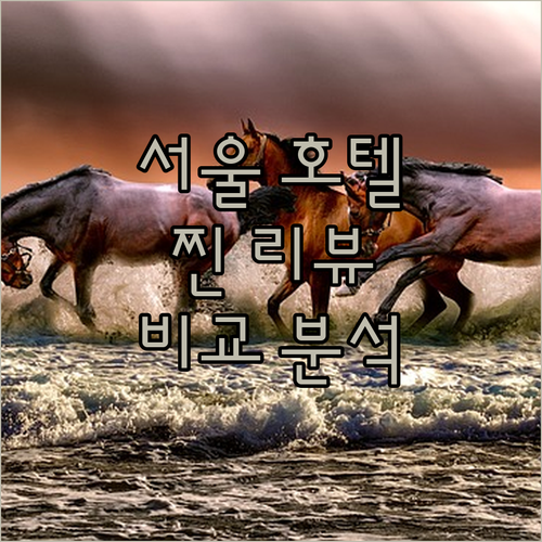 서울 인기 호텔 리뷰 위치, 시설, 