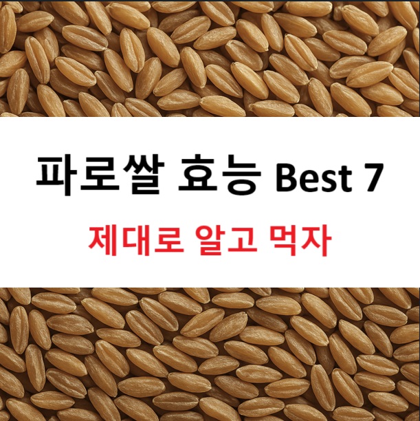 파로쌀 효능