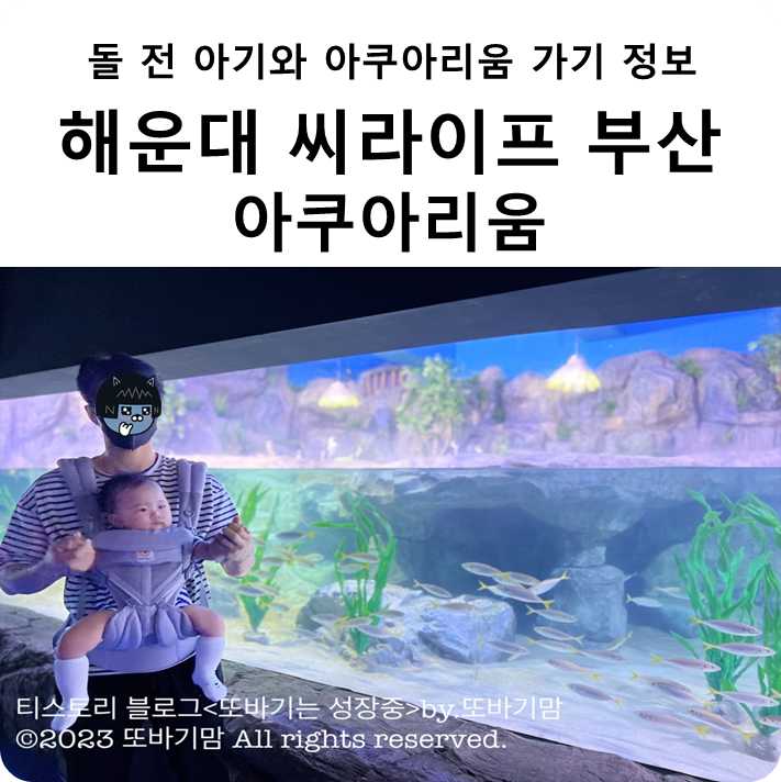  돌 전 아기와 '해운대 씨라이프 부산 아쿠아리움' 가기 정보 및 티켓 할인 방법