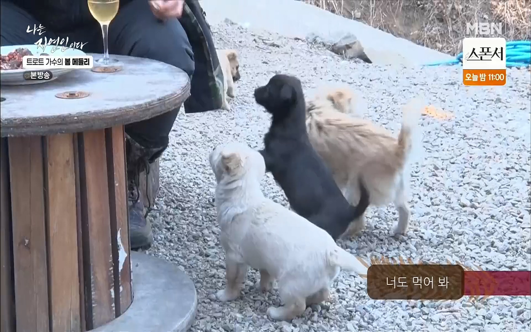 나는 자연인이다.E494.220323p.H264-F1RST.mp4_20220324_183854.649.jpg