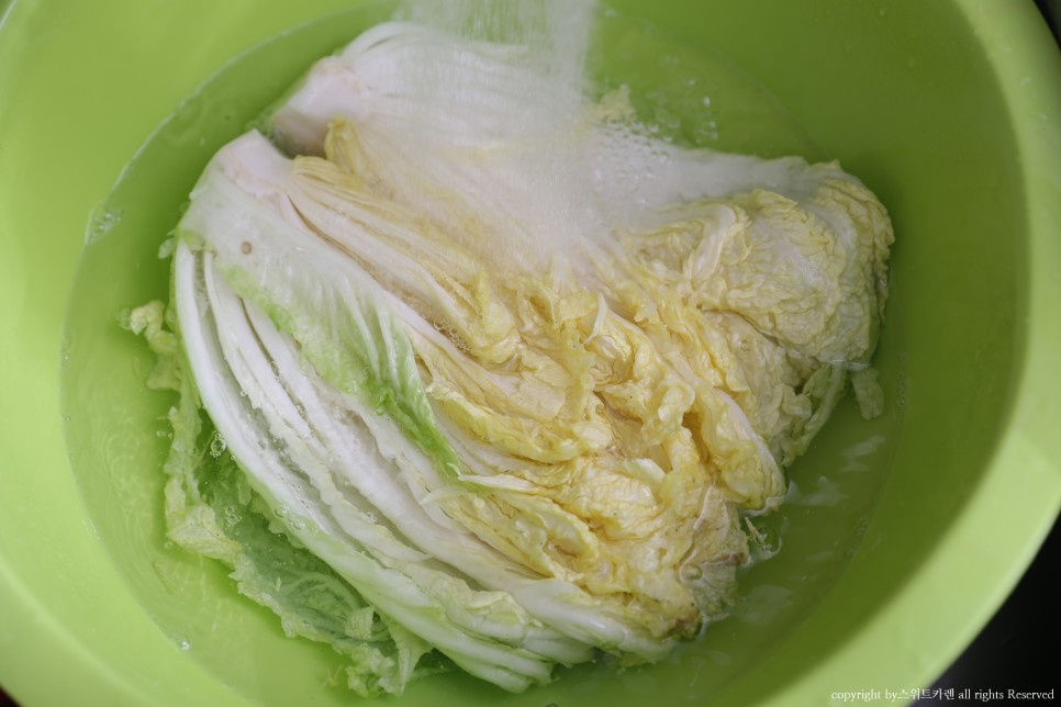 짠맛 김장봉투로 간단하게 속이 꽉 찬 배추절임 배추절임 시간 11