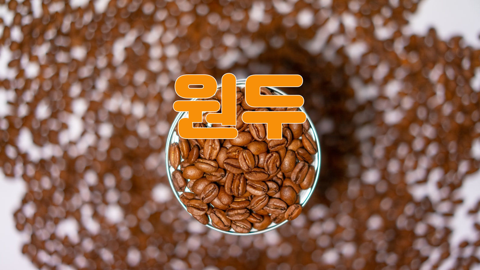 커피, 근본, 원두