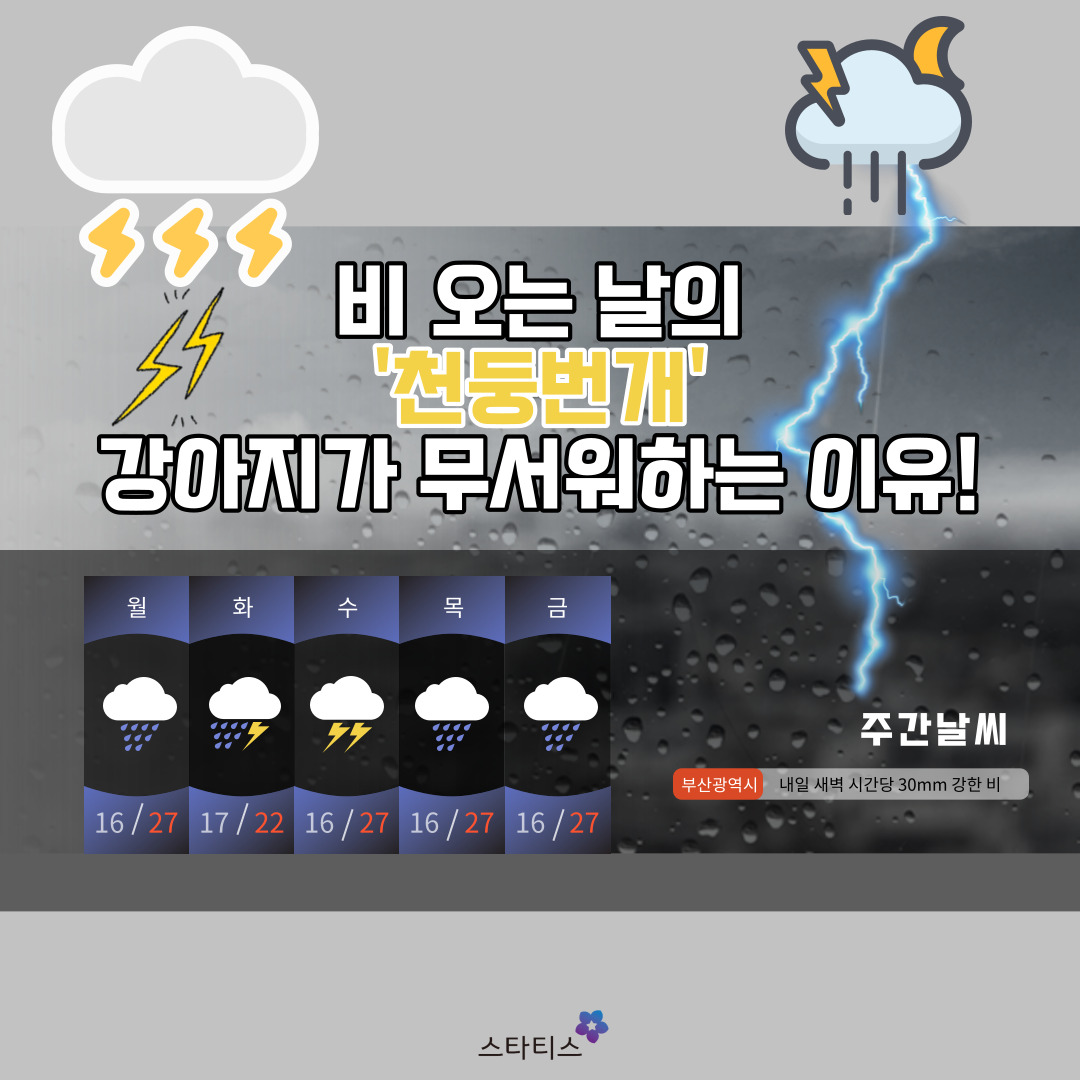 천둥 대표 사진