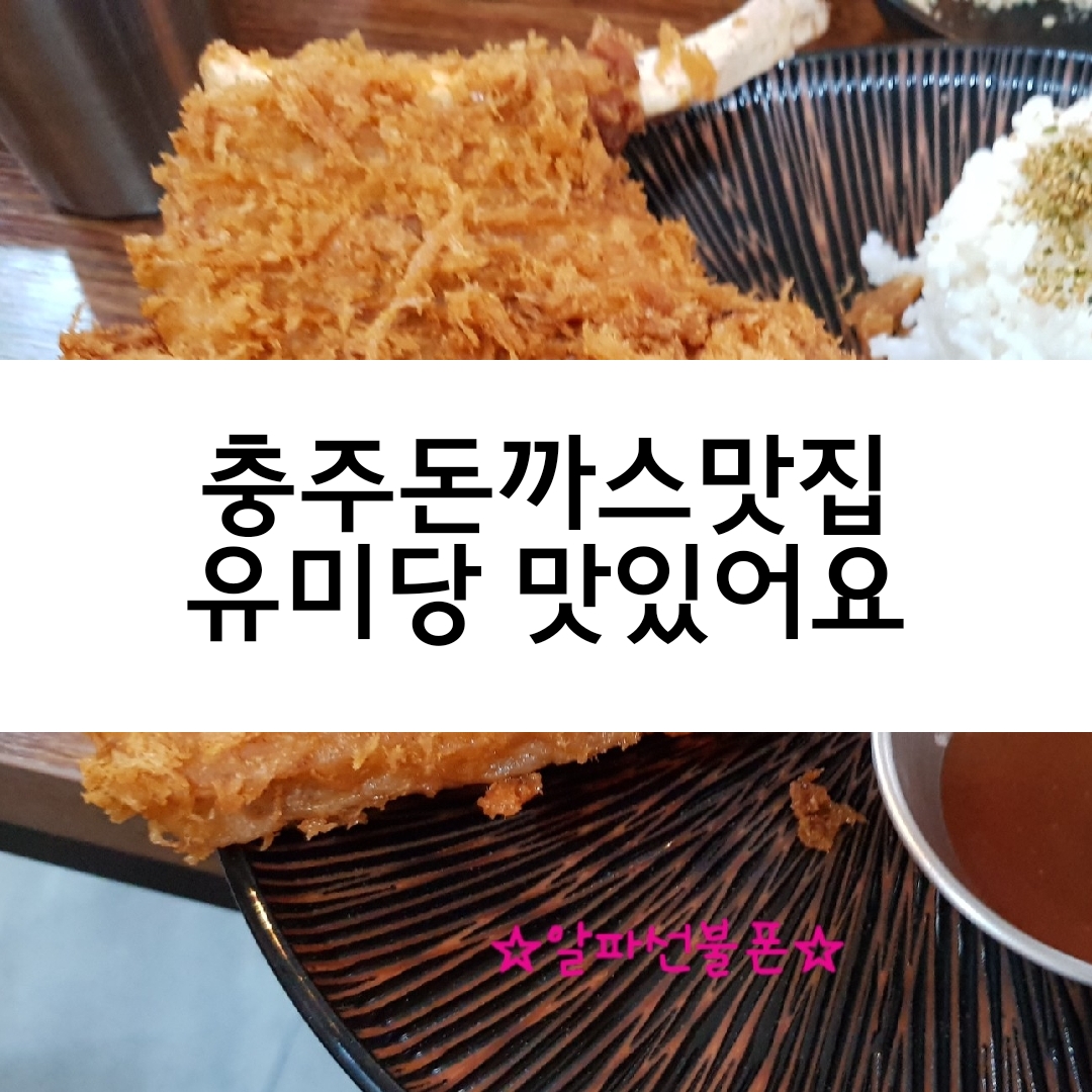  충주돈까스맛집 유미당 맛있어요