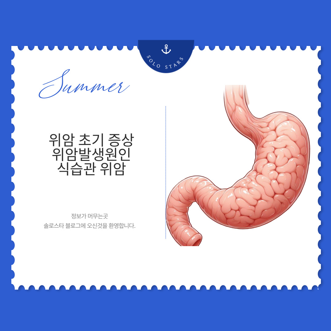 위 사진