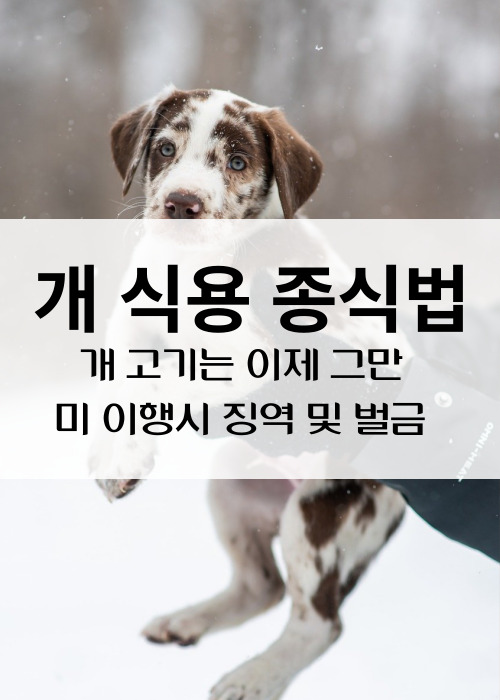 개식용종식법