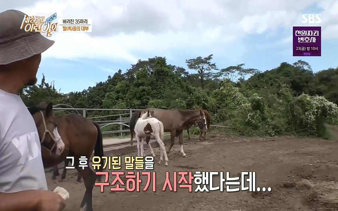 순간포착 세상에 이런일이.E1198.220920.H265p-BULDU.mp4_20220921_200812.545.jpg