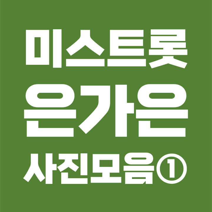  [사진모음 1/7] 미스트롯2 은가은 Eungaeun 성형 과거사진 (본명 : 김지은 / 1987년생 / 동주대학)