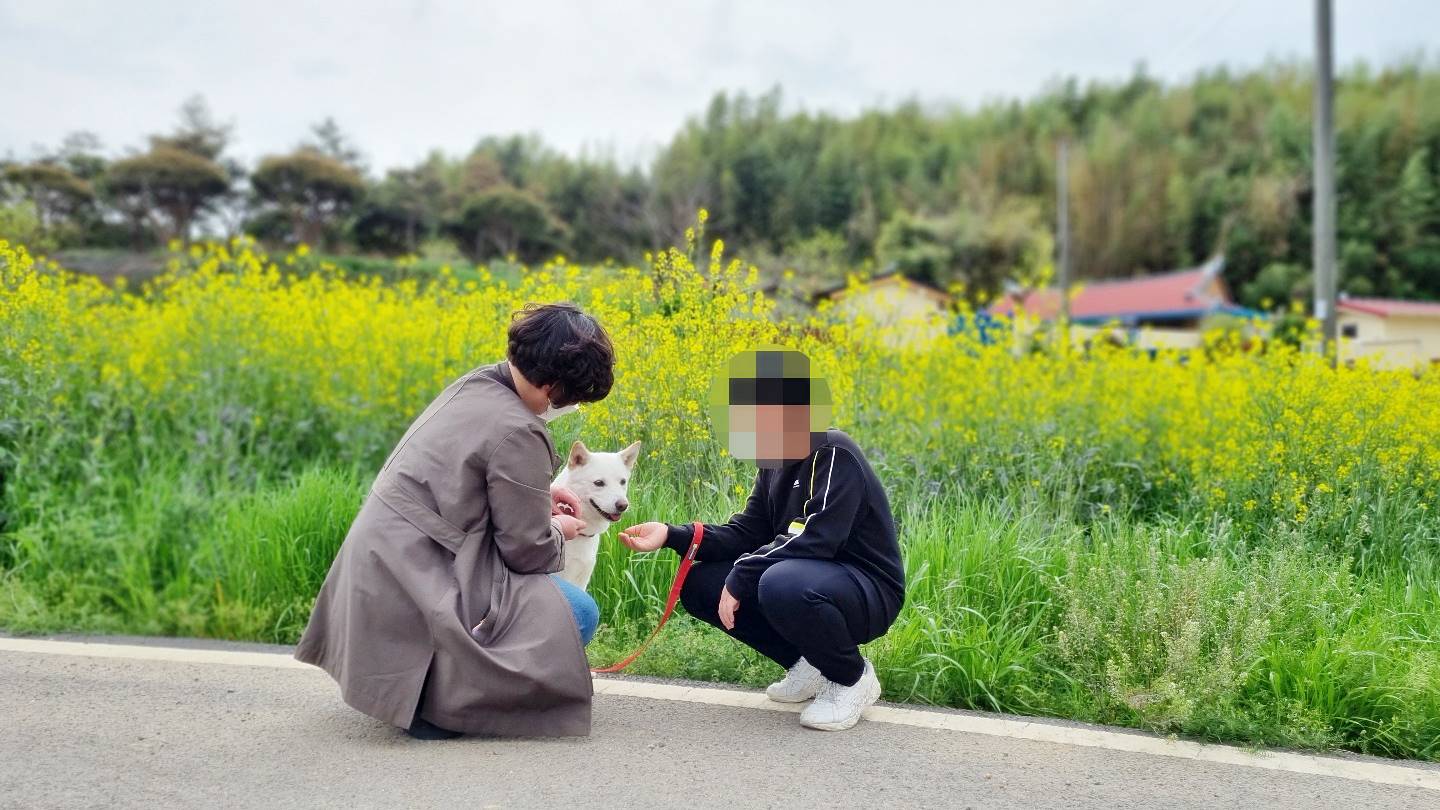 포스팅 썸네일 이미지