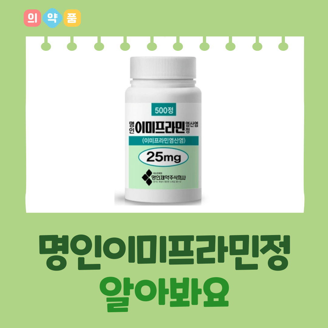 명인이미프라민염산염정