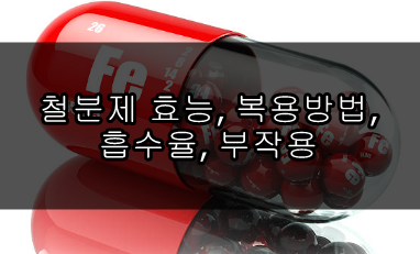 철분제 효능&#44; 복용방법&#44; 흡수율&#44; 부작용