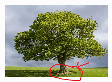 탈모와 모발 건강을 설명하기 위한 나무와 뿌리 표시 이미지