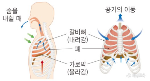 날숨