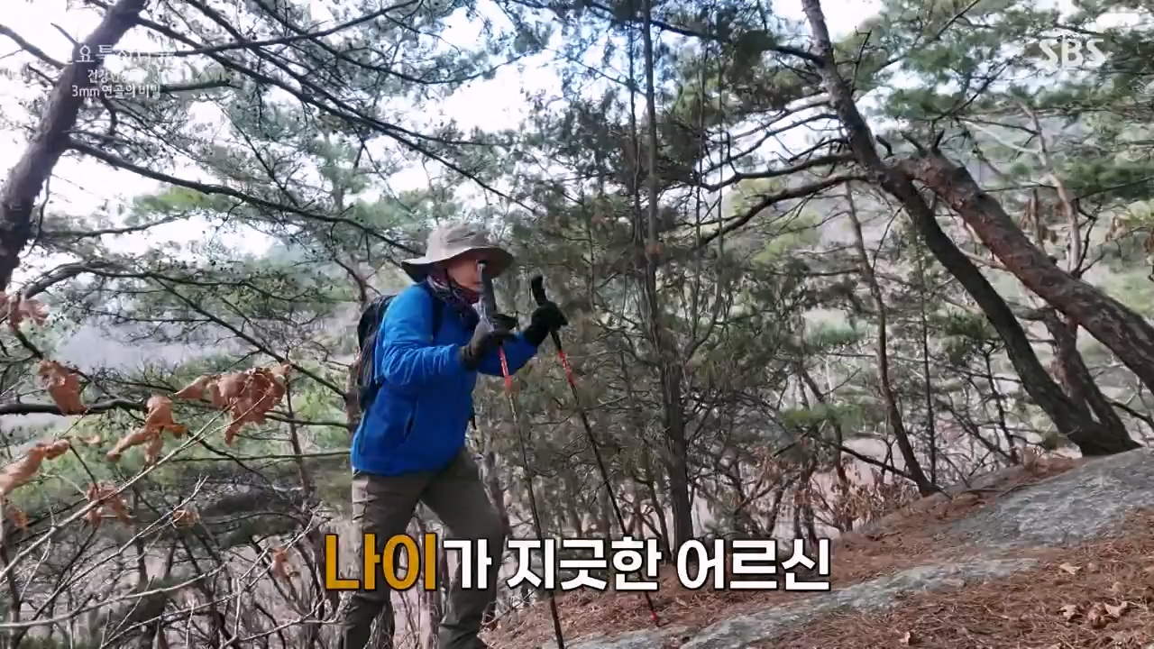 일요특선 다큐멘터리.E341.240318p-NEXT.mp4_20240317_190257.243.jpg