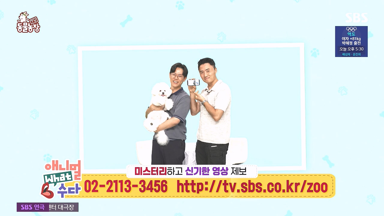 TV 동물농장.E1184.240812p-NEXT.mp4_20240811_172454.270.jpg