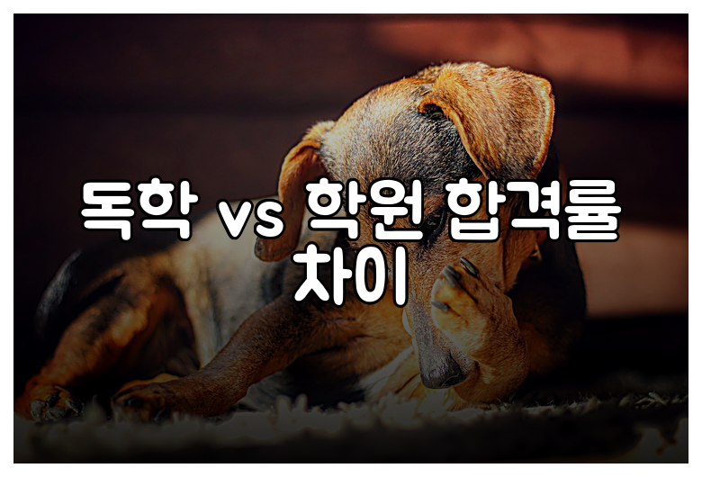 독학 vs 학원 합격률 차이