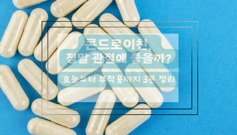 콘드로이친 효과