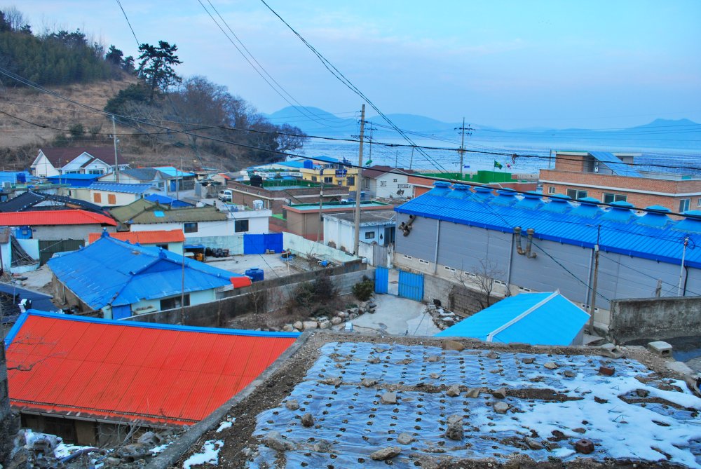 장흥군 대덕읍 옹암마을