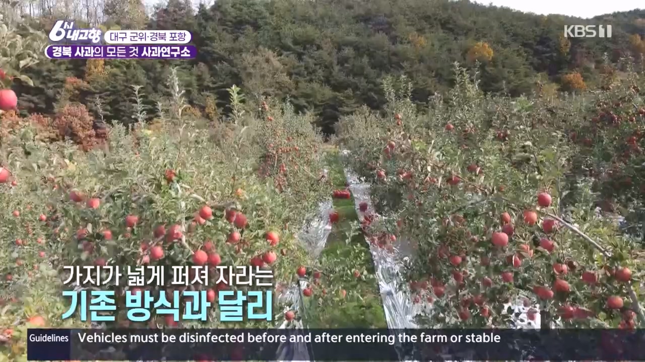 6시 내고향.E7907.231108p.H264-F1RST.mp4_20231108_204724.475.jpg