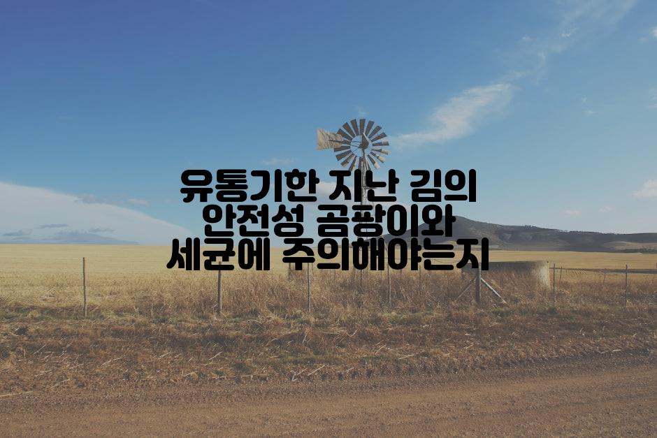 유통기한 지난 김의 안전성 곰팡이와 세균에 주의해야는지