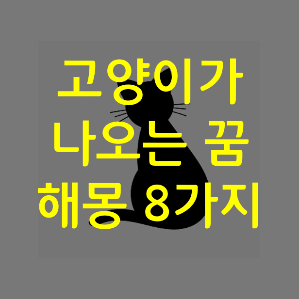  고양이가 나오는 꿈, 검은 고양이 꿈 해석