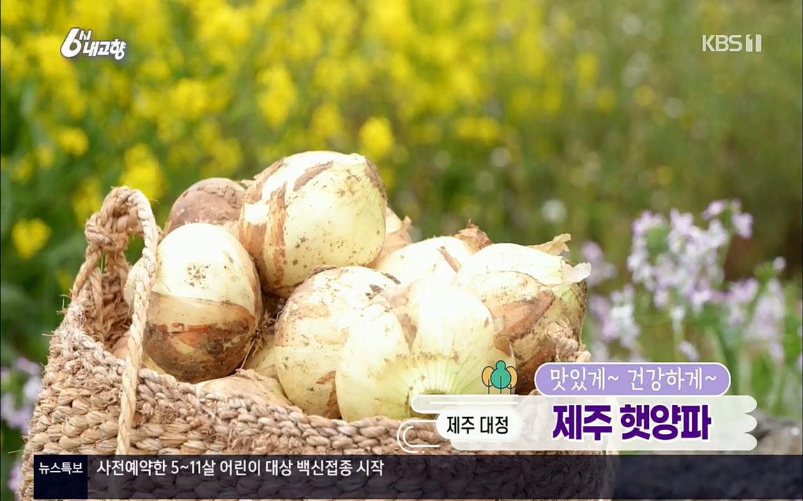 6시 내고향.E7505.220407p.H264-F1RST.mp4_20220411_173229.691.jpg