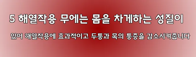  5 해열작용 무에는 몸을 차게하는 성질이 있어 해열작용에 효과적이고 두통과 목의 통증을 감소시켜줍니다