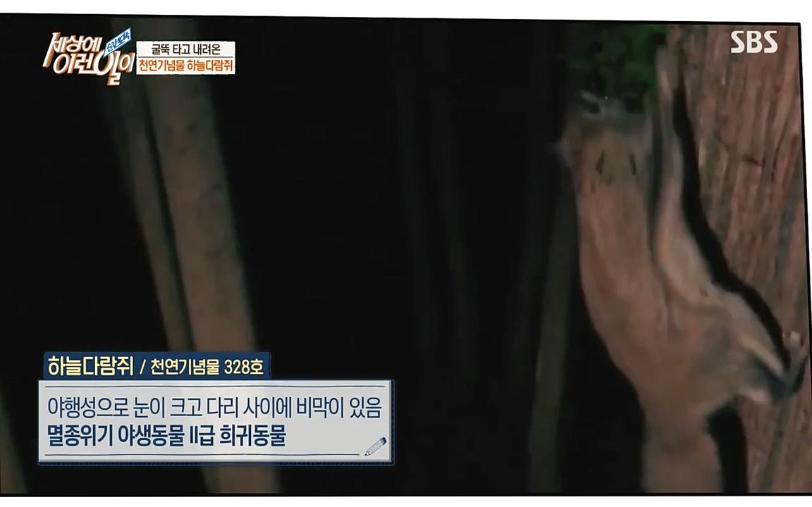 순간포착 세상에 이런일이.E1182.220532p-NEXT.mp4_20220601_171210.035.jpg