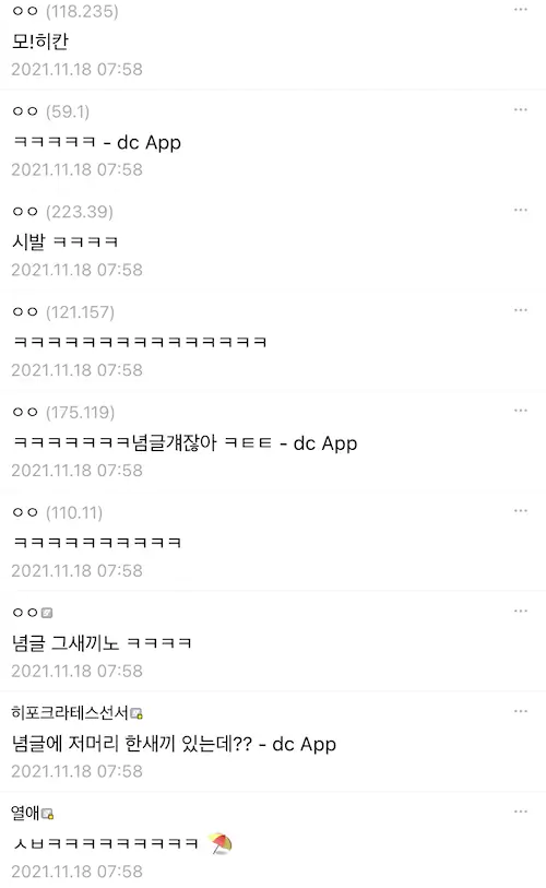 수능갤러리 모히칸