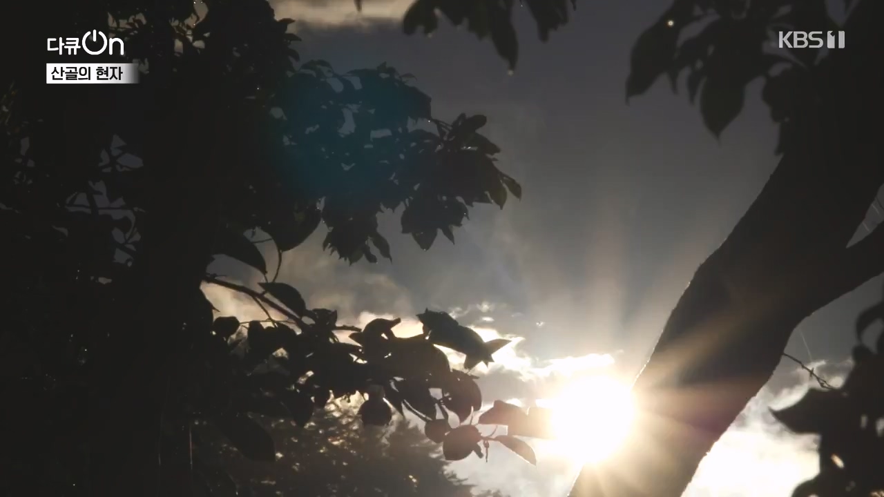 다큐 온.E245.240414p-NEXT.mp4_20240414_142435.230.jpg