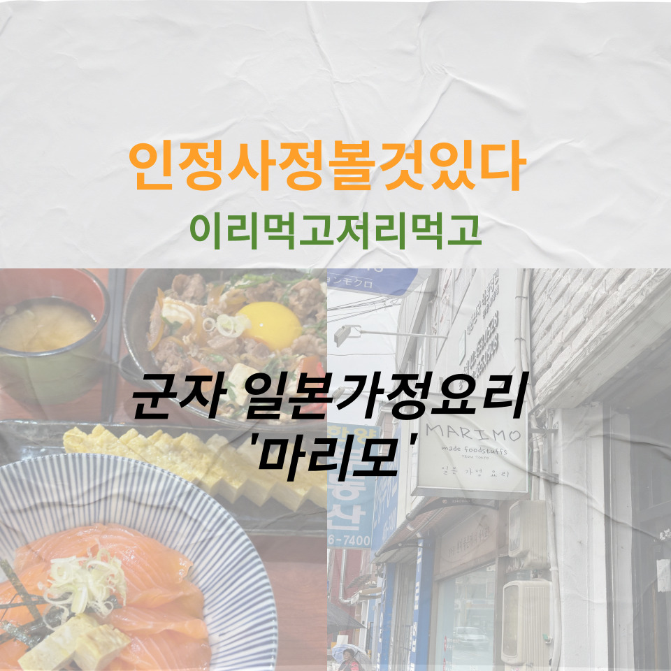 마리모 이미지