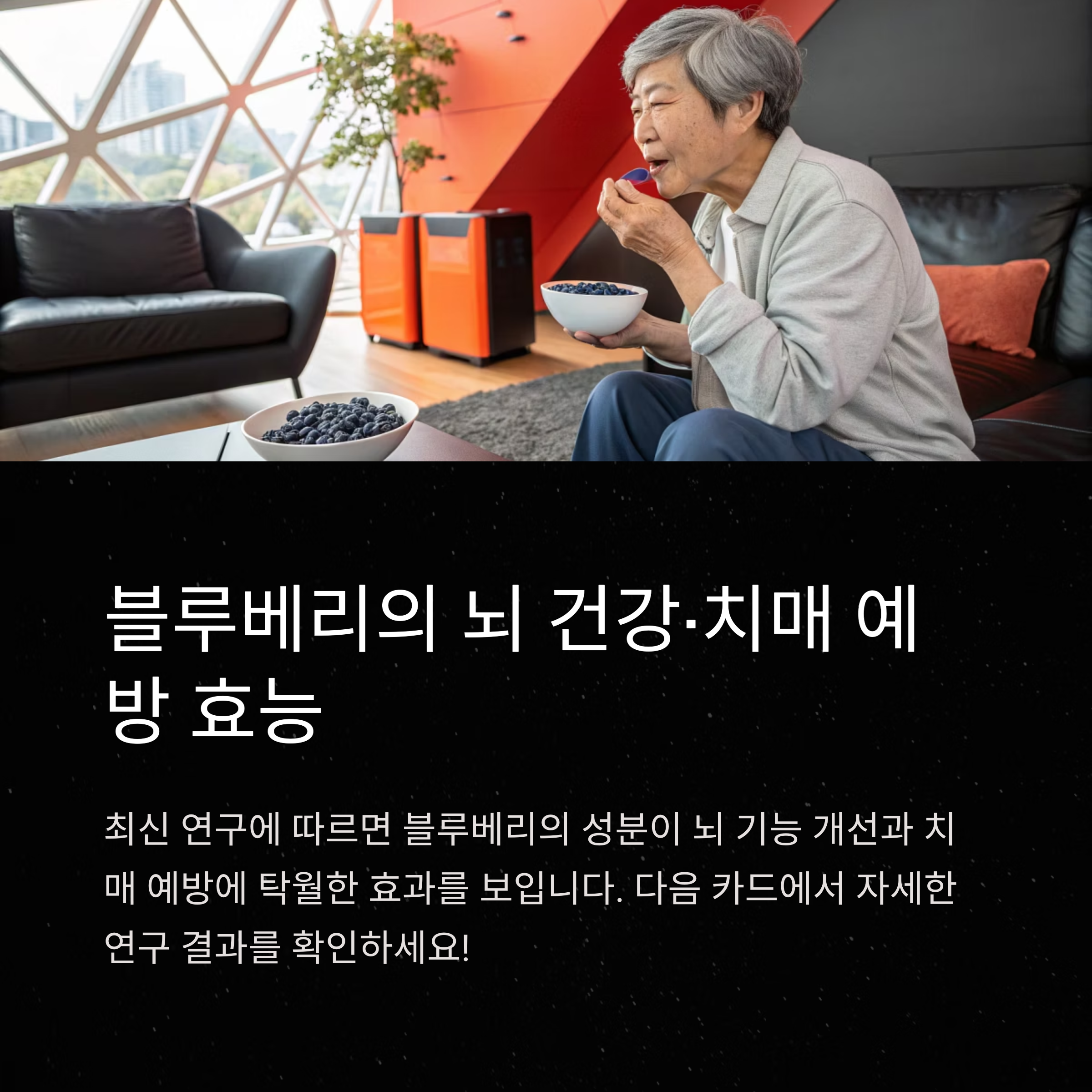 블루베리 치매예방