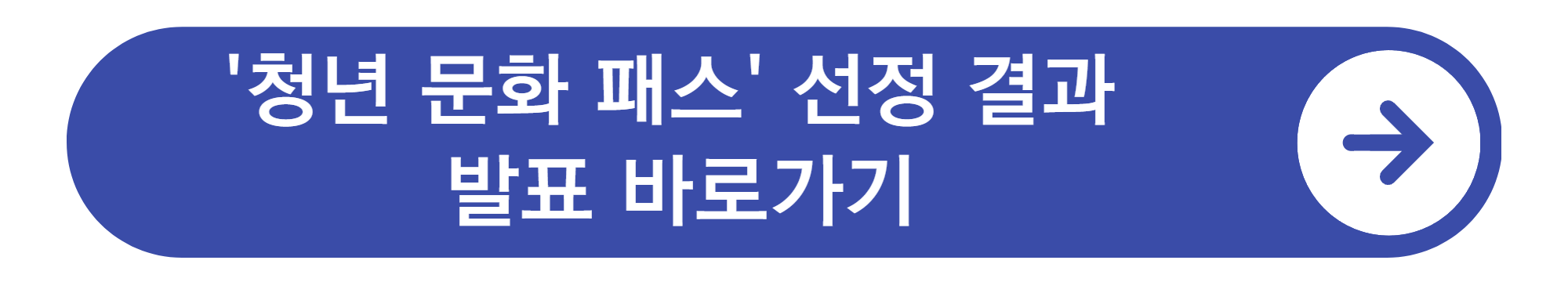 청년문화패스