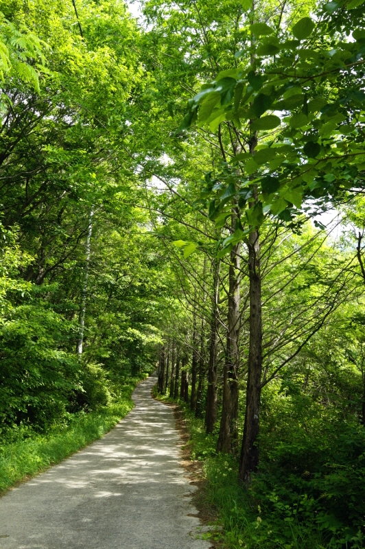 한국 명산 경남 함양 여행 황석산 등산mountain hiking