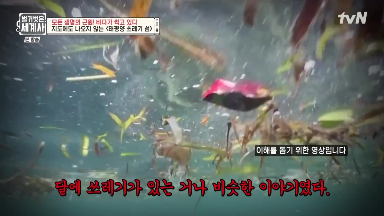 벌거벗은 세계사.E90.230315p-NEXT.mp4_20230419_204326.732.jpg