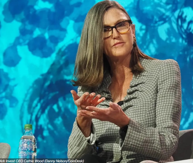  [존버] ARK CEO 캐시 우드, 2015년  250달러 매수 비트코인 한번도 매도한 적 없어  ARK's Cathie Wood Bought $100K Worth of Bitcoin Years Ago at $250...