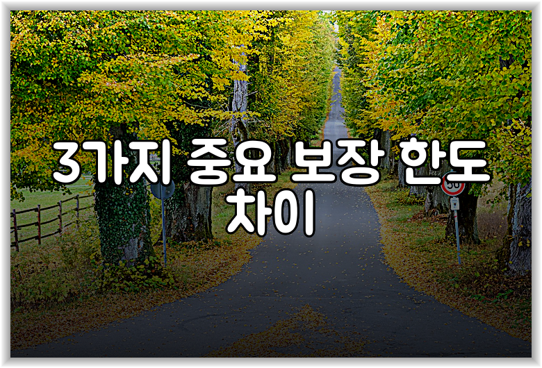 3가지 중요 보장 한도 차이