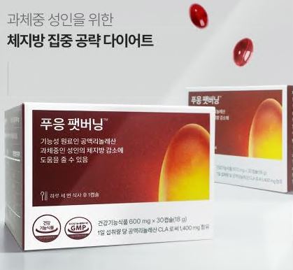 푸응-팻버닝-후기