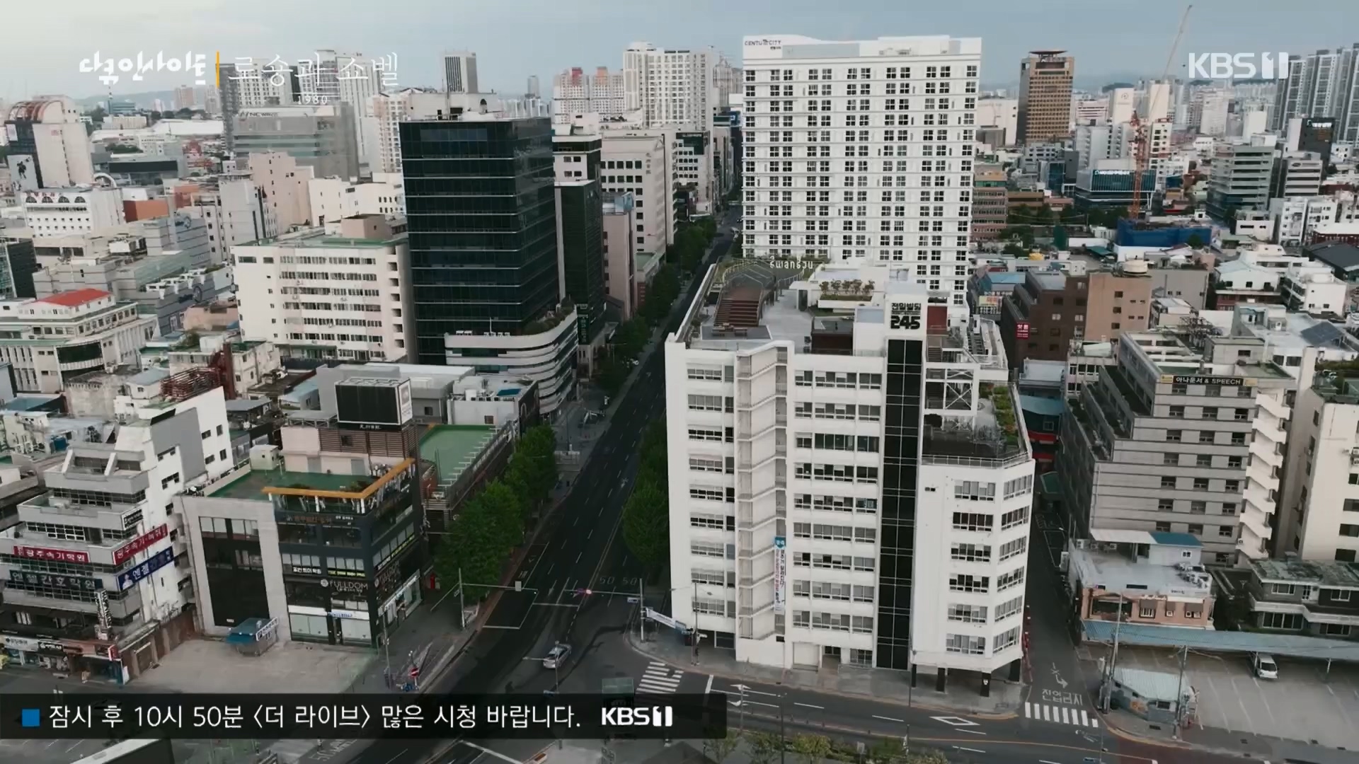 다큐 인사이트.E151.230518p.H264-F1RST.mp4_20230522_201312.736.jpg