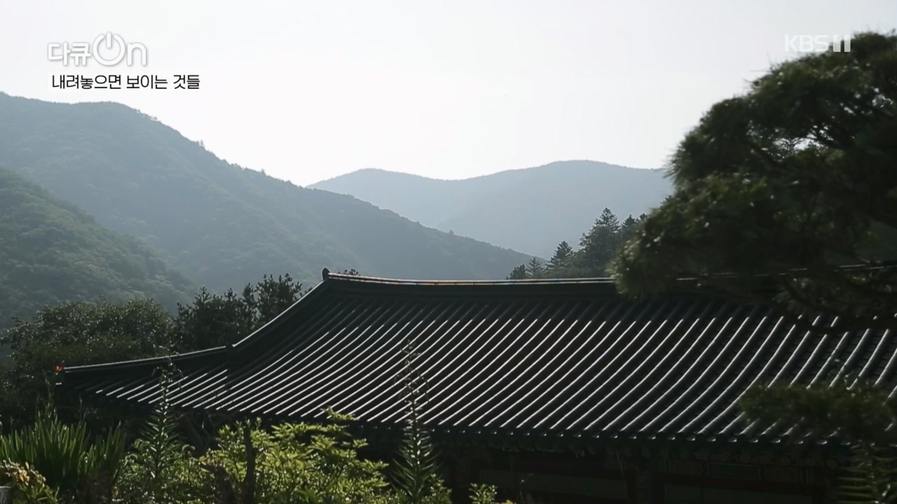 다큐 On.E221.231030p.H264-F1RST.mp4_20231031_202732.561.jpg