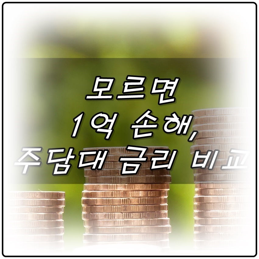  모르면 1억 손해, 주담대 금리 비교