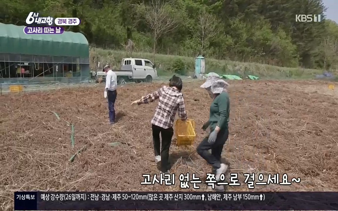 6시 내고향.E7518.220426p.H264-F1RST.mp4_20220504_185149.698.jpg