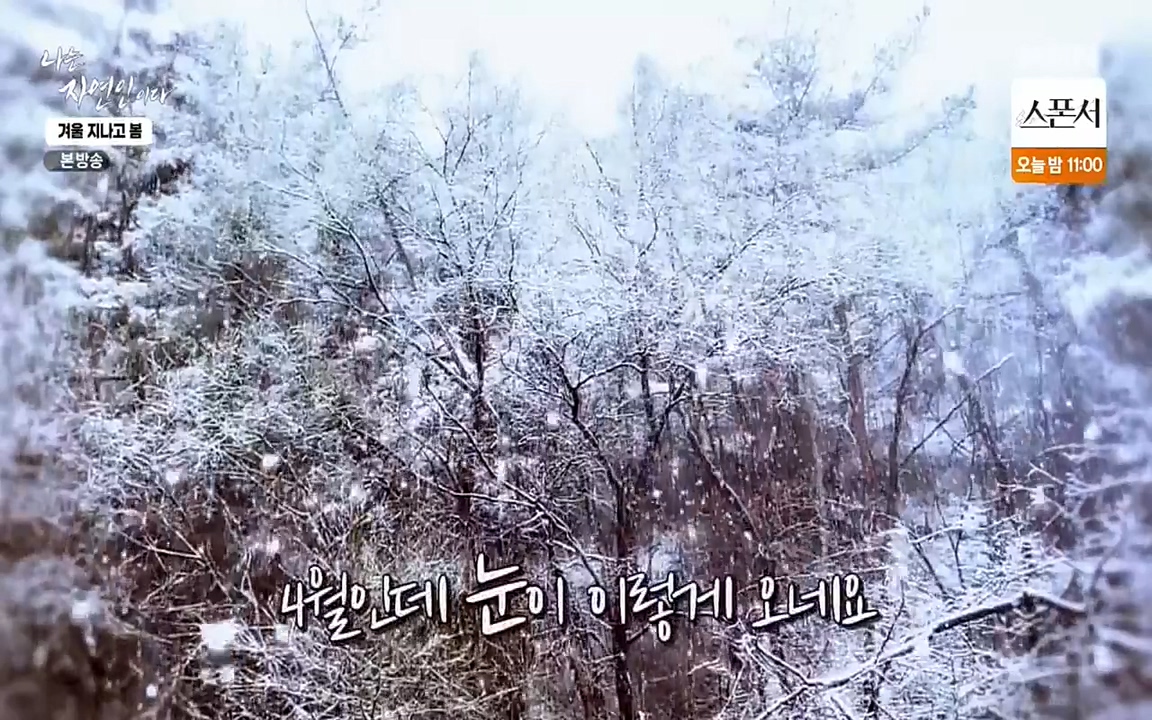 나는 자연인이다.E496.220407p-NEXT.mp4_20220407_175807.410.jpg