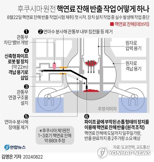 후쿠시마 핵연료잔해