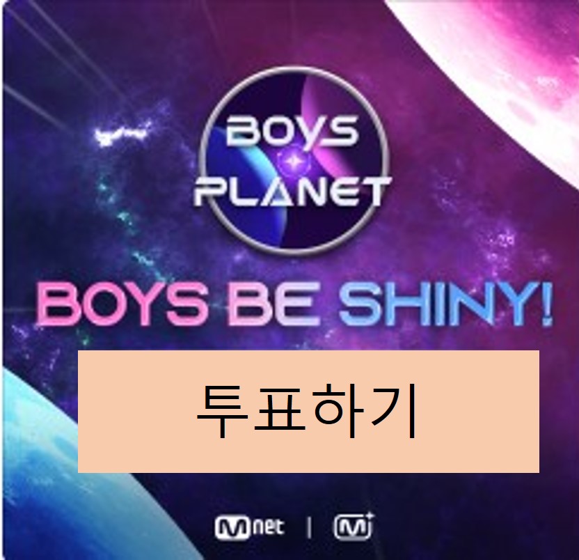투표