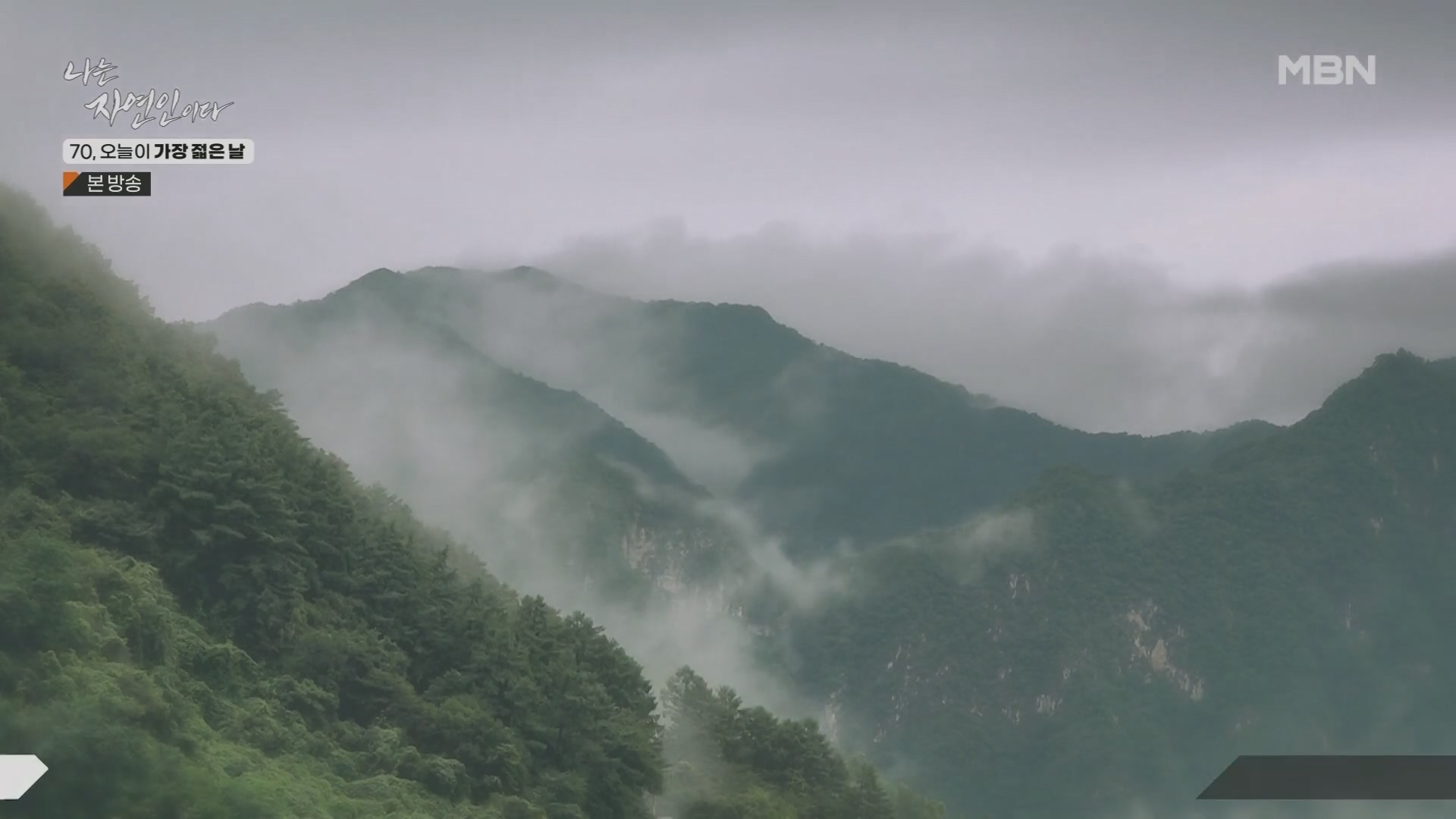 나는 자연인이다.E565.230802p.H264-F1RST.mp4_20230803_203353.343.jpg